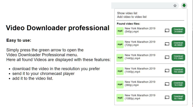 All Video Downloader professional