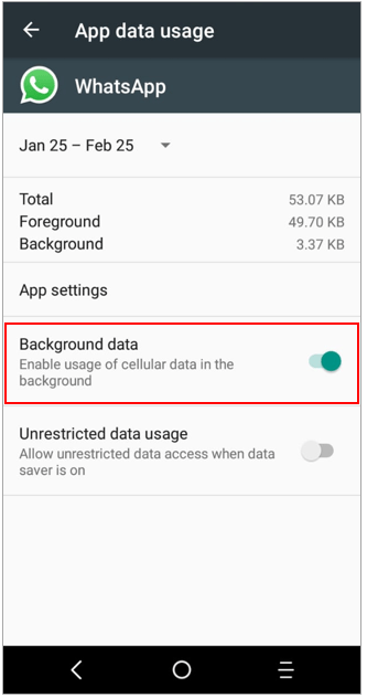 Enable Background Data Usage for WhatsApp