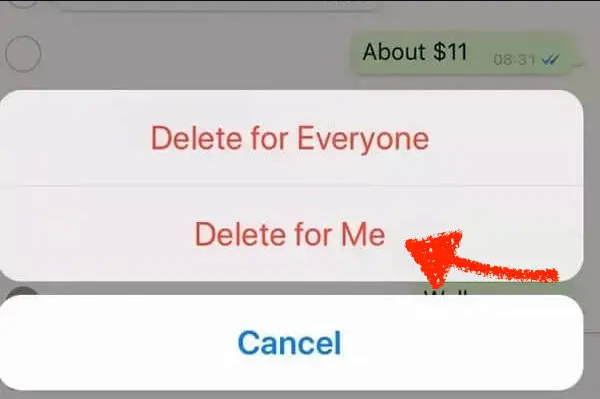 Delete Your Message for Yourself or All users