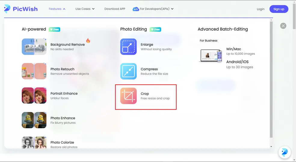 How to Crop Photos with PicWish